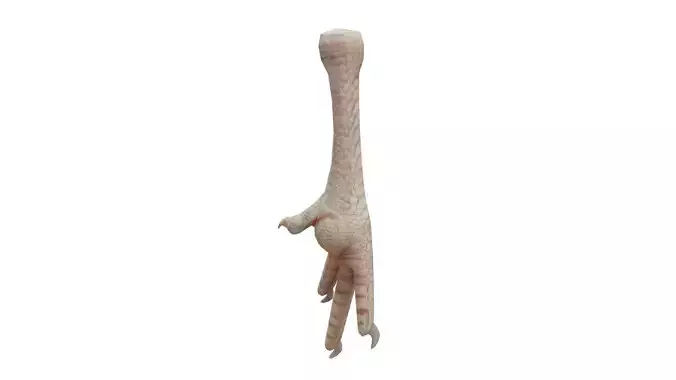 Chicken foot Low-poly 3D model