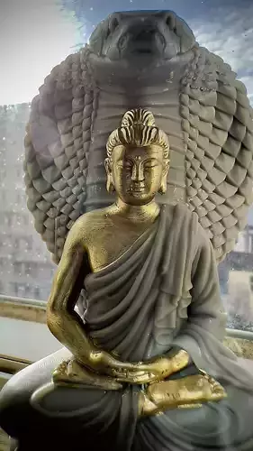 Buddha Shakyamuni sitting on the snake 3D print model