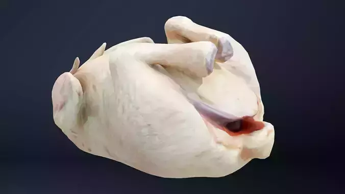 TURKEY Low-poly 3D model