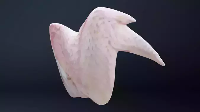 Wings of bird Low-poly 3D model