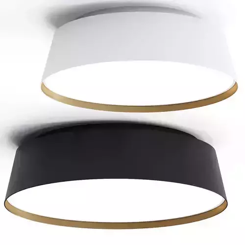 GENERATION LIGHTING ED Ellen DeGeneres Asher Ceiling Lamp