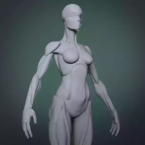 Stylized female base mesh 3D model