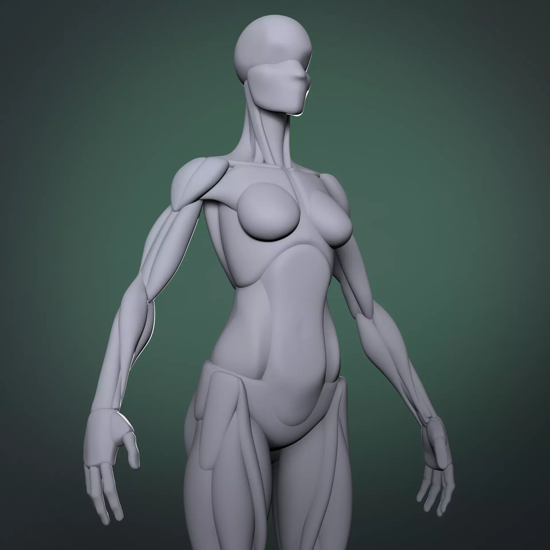 Stylized female base mesh 3D model_0