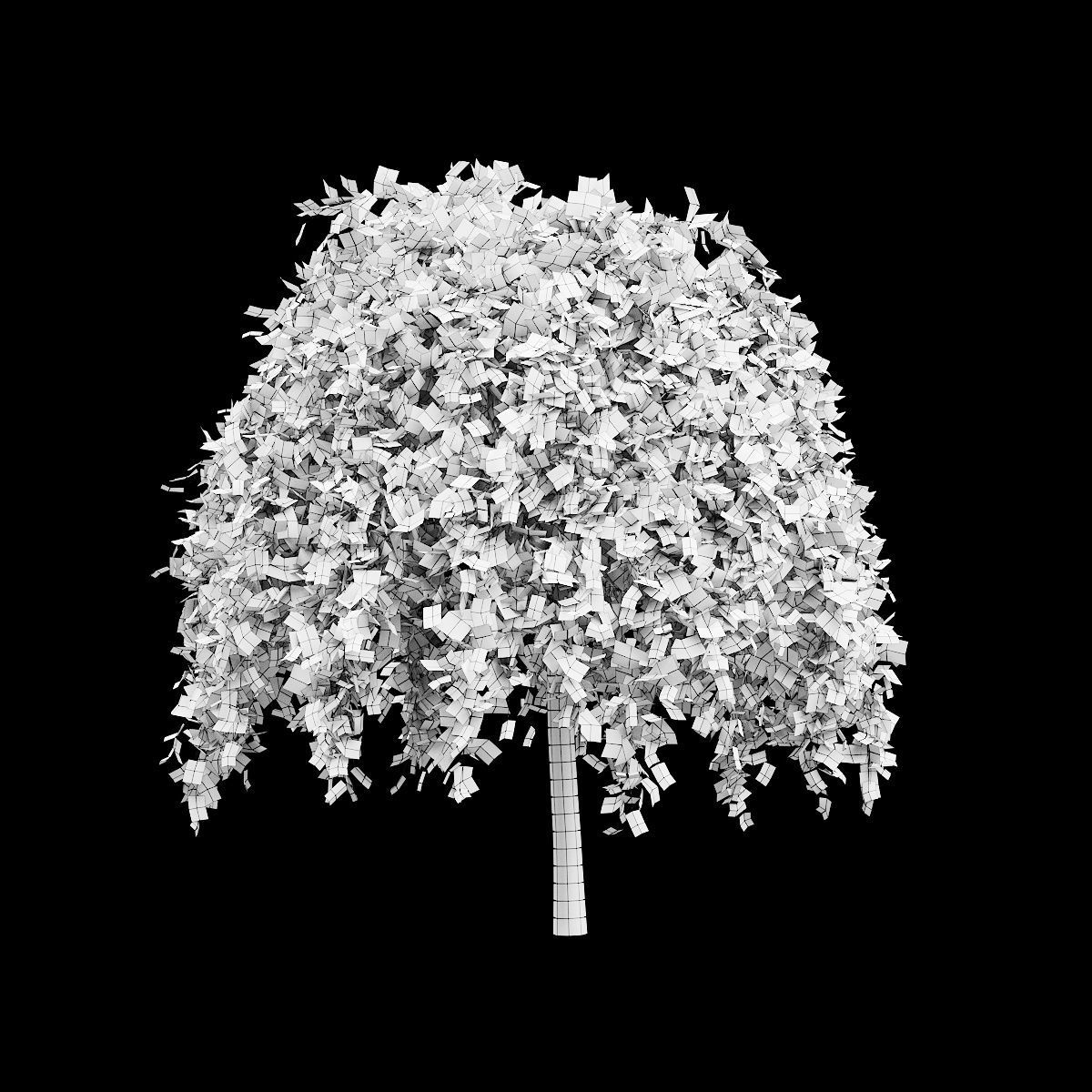 Fagus sylvatica Purpurea Pendula  3D model_2