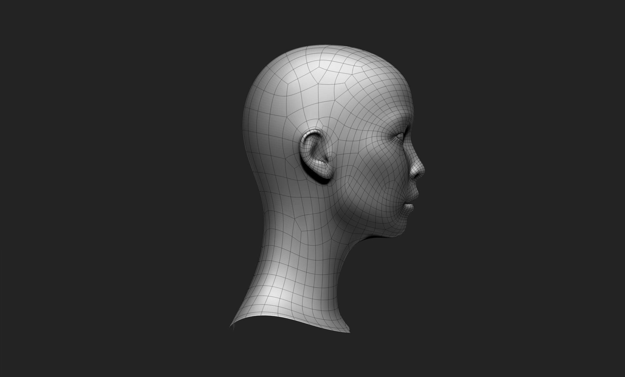 Female Head 5 Low-poly 3D model_12