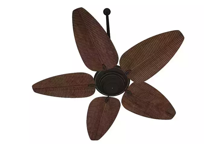 Ceiling fan