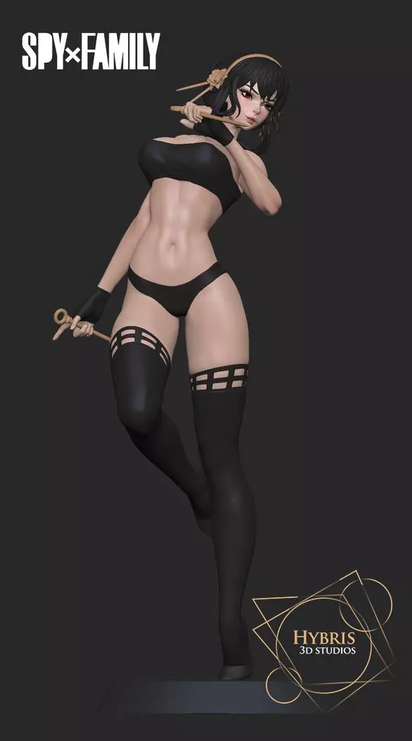 Yor Briar Lingerie 3D print model_0