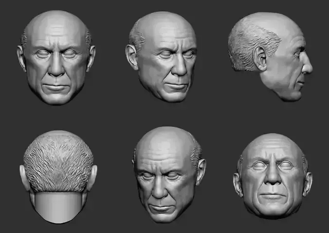 Pablo picasso head 3D print model