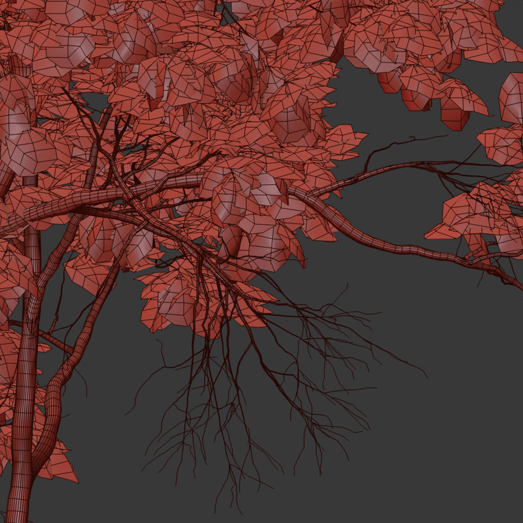 Autumn Acer cappadocicum 3D model_7