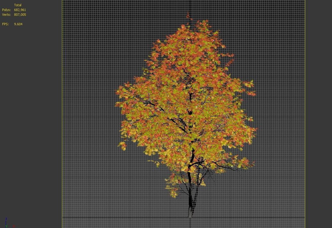 Autumn Acer cappadocicum 3D model_8
