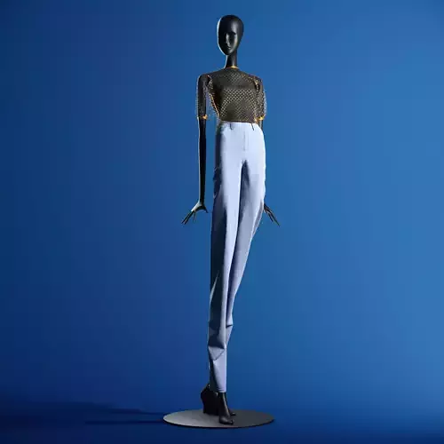 Zara Plumeti Embroided Top Manneqin