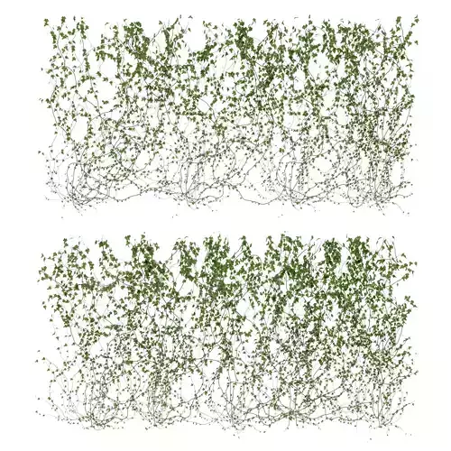 Wall of ivy leaves v3