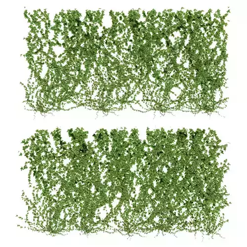  Wall of ivy leaves v4 3D model