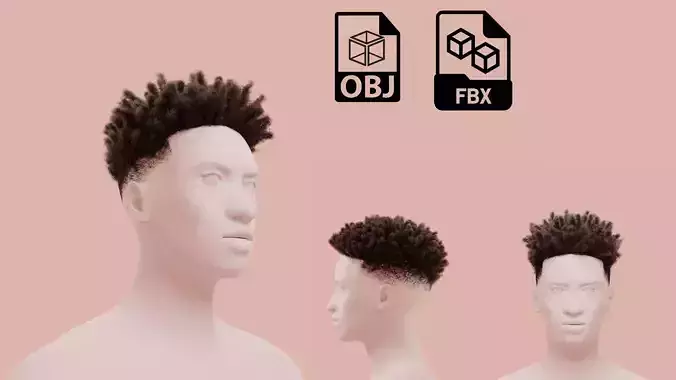 Afro Taper Fade  3D model