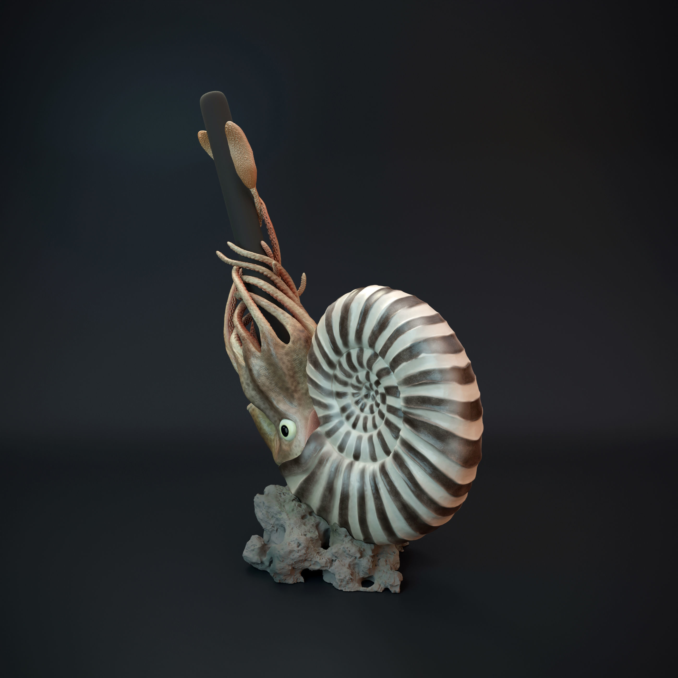 Ammonite pen holder pre supported 3D print model_7