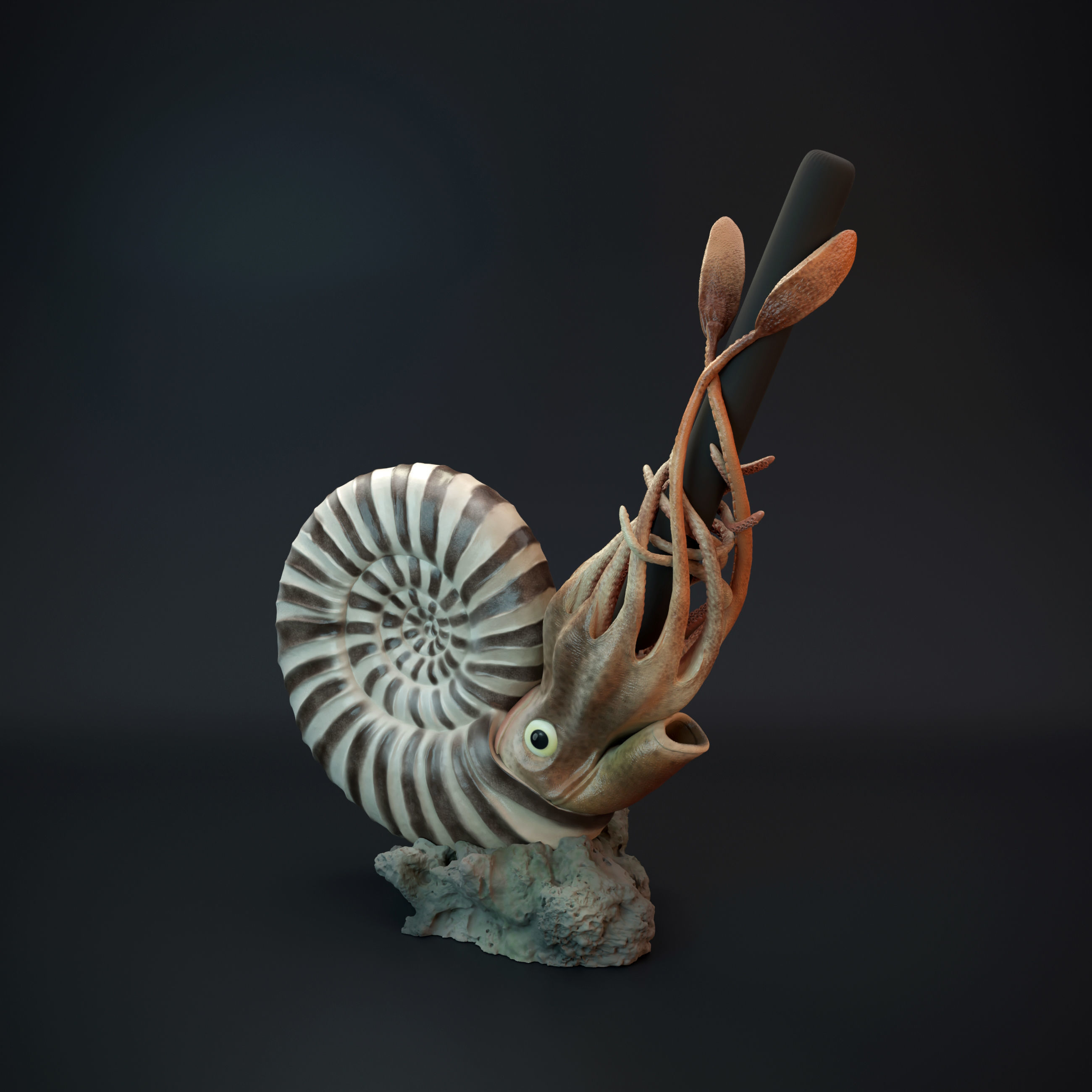 Ammonite pen holder pre supported 3D print model_4