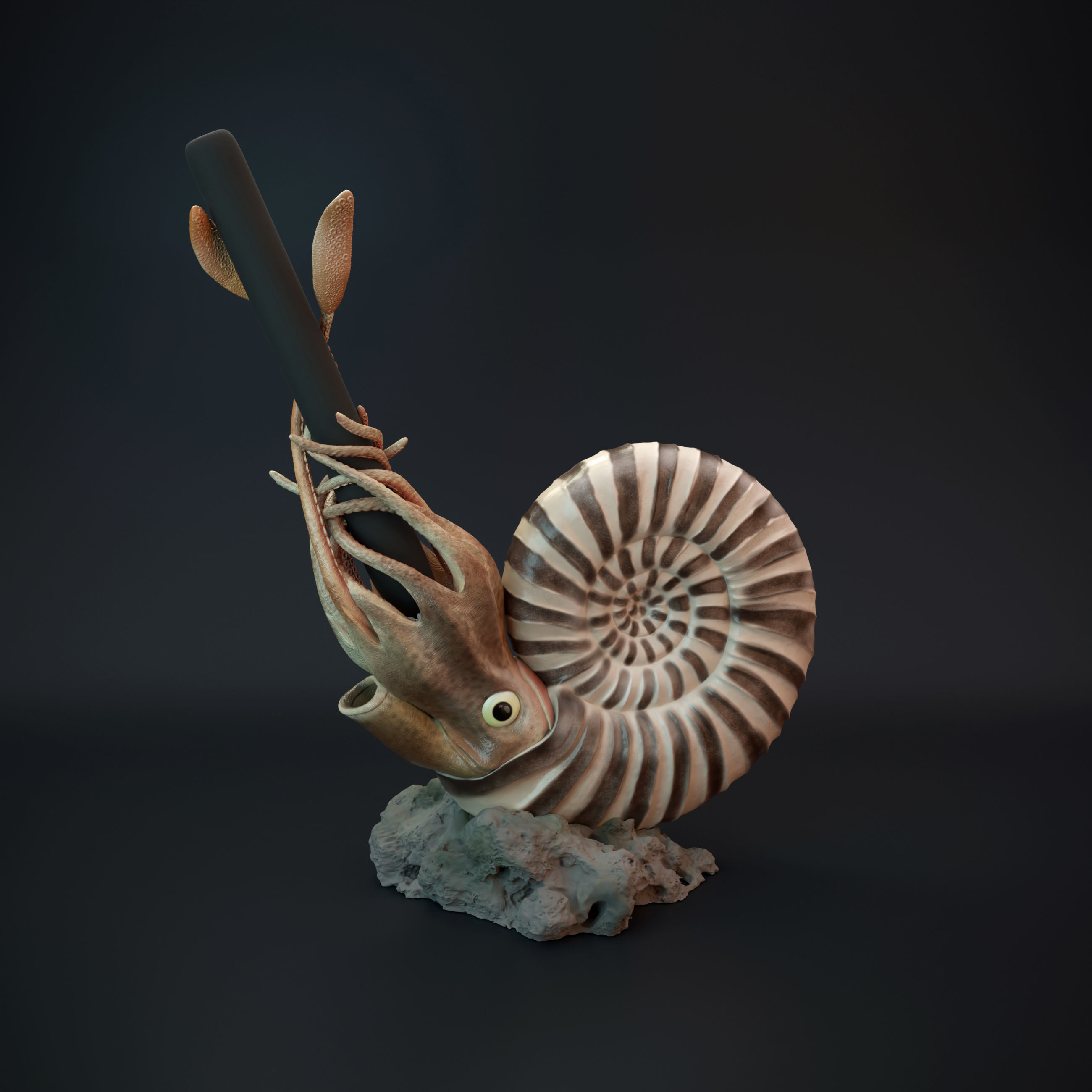 Ammonite pen holder pre supported 3D print model_8