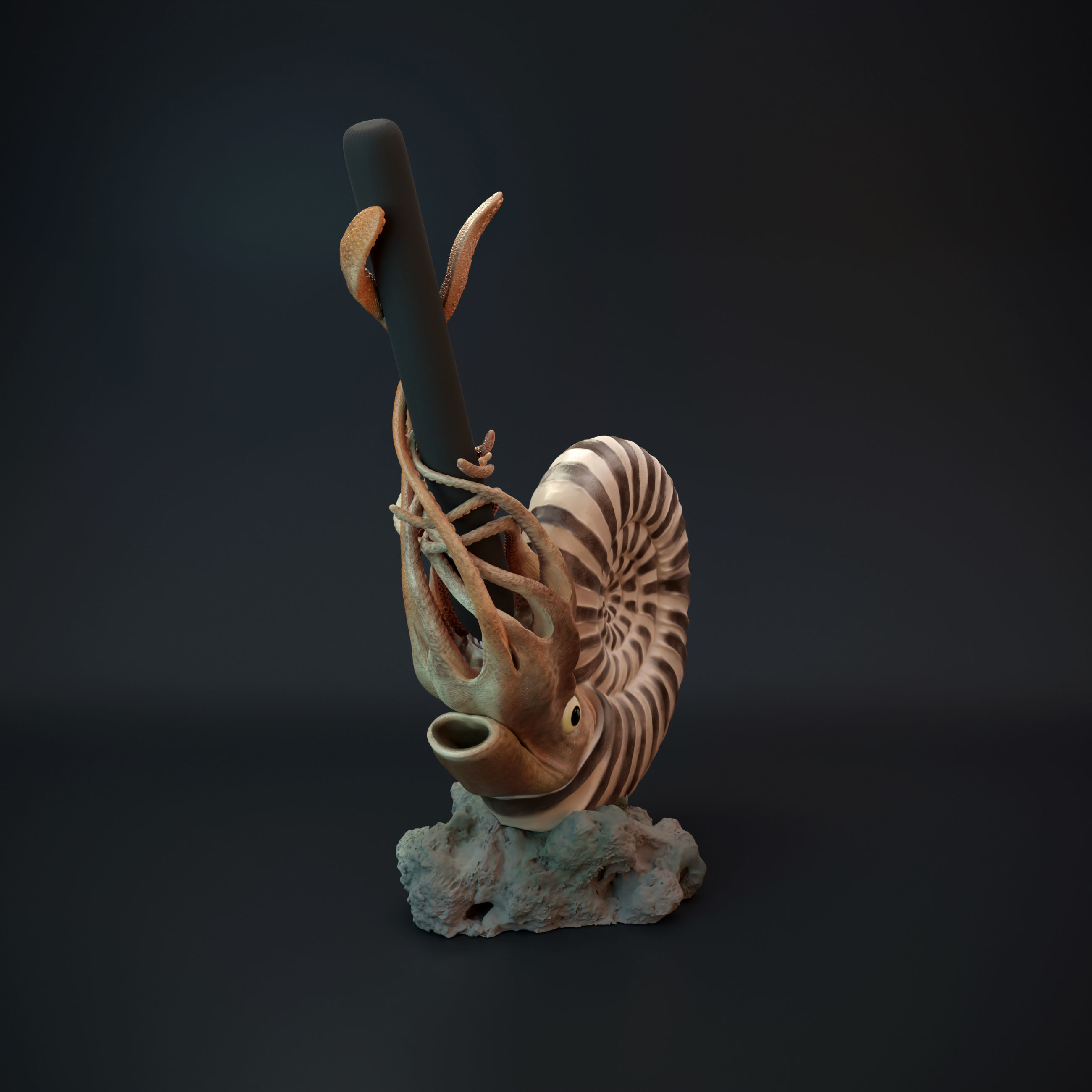 Ammonite pen holder pre supported 3D print model_9