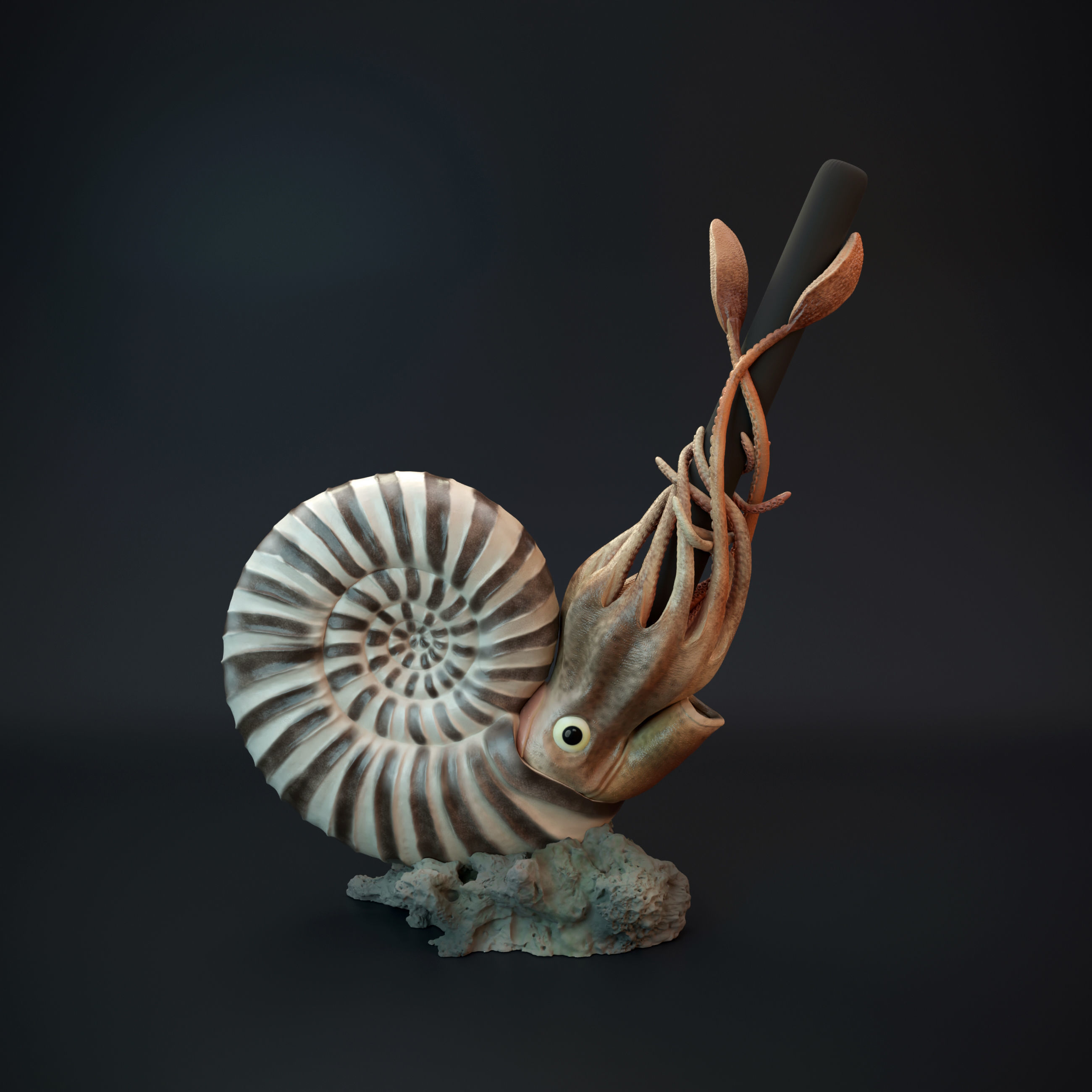 Ammonite pen holder pre supported 3D print model_5