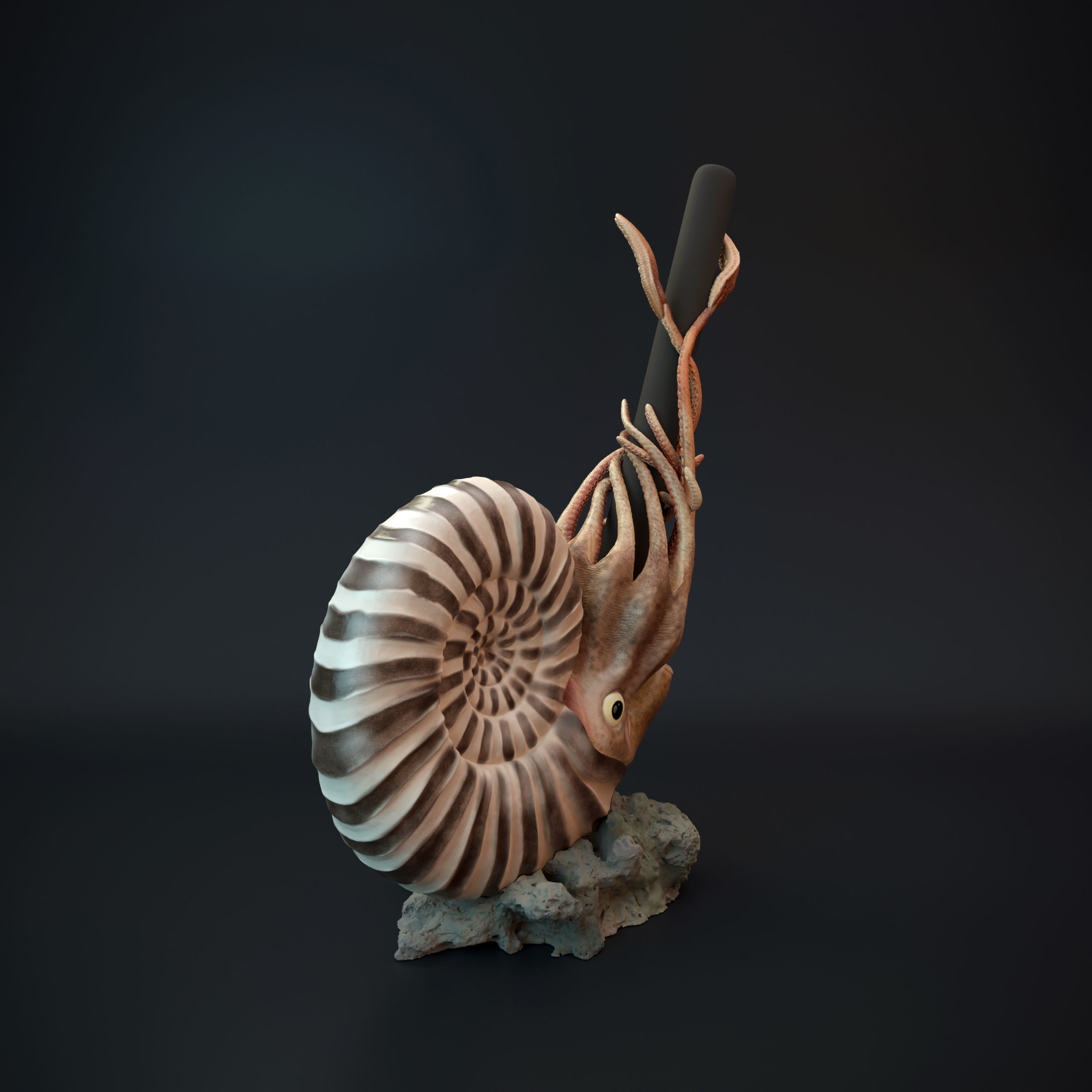 Ammonite pen holder pre supported 3D print model_6
