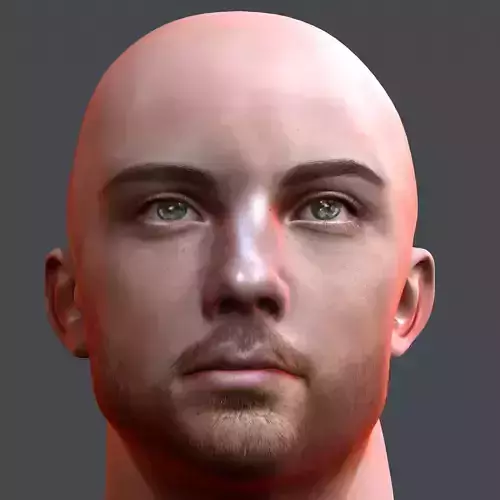 Male head Realistic Perfect Head Low-poly 3D model game ready