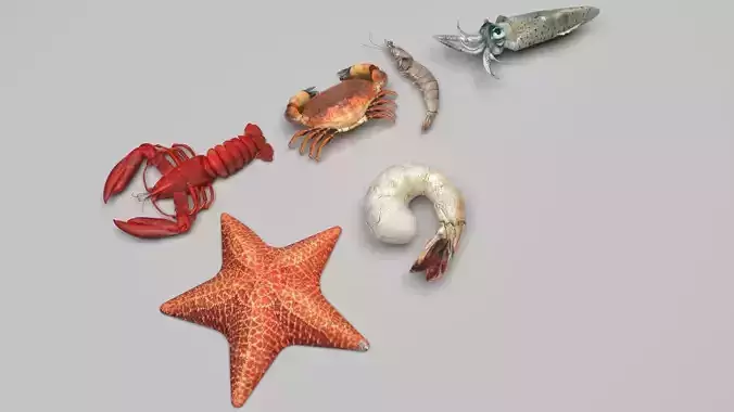 Sea Creatures Set 3D model