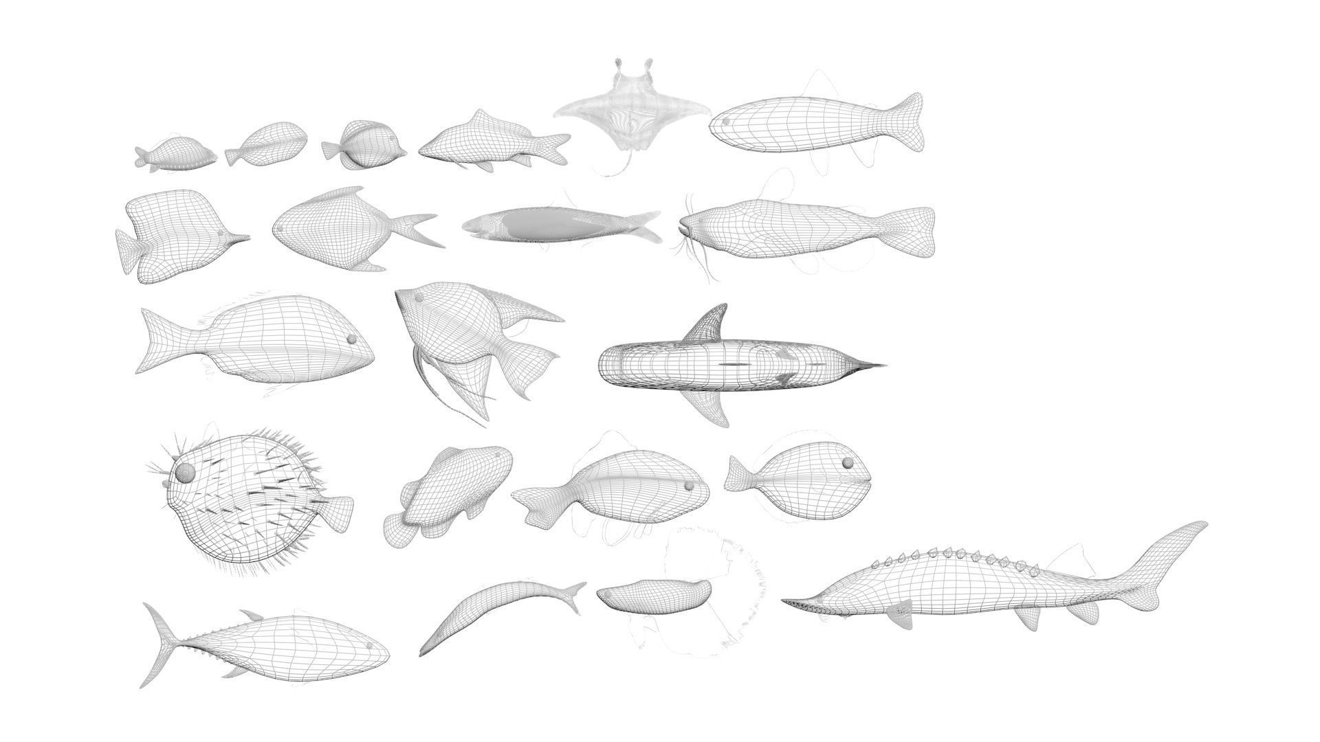 Fishes Set 3D model_43
