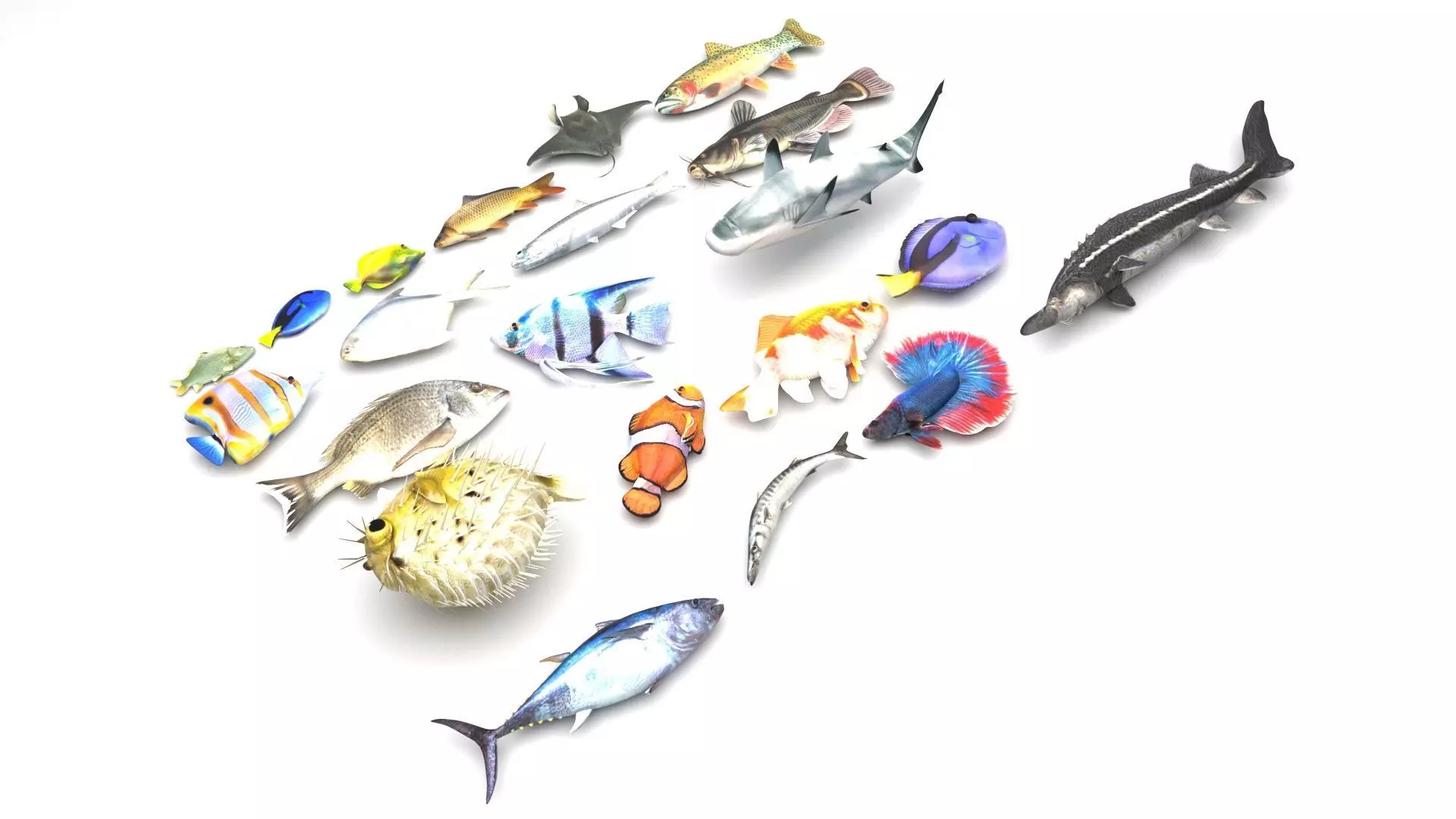 Fishes Set 3D model_0