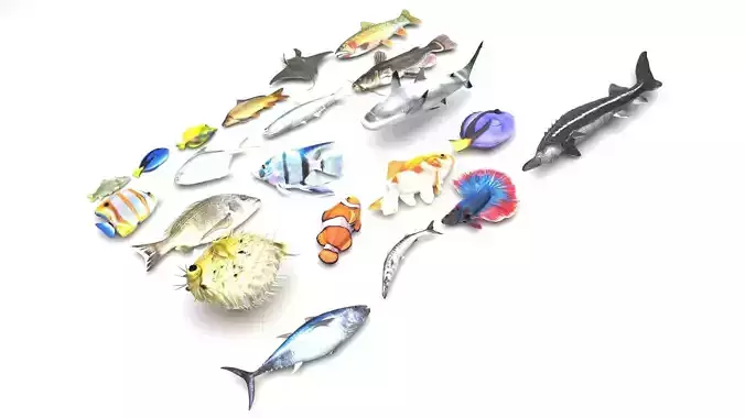 Fishes Set