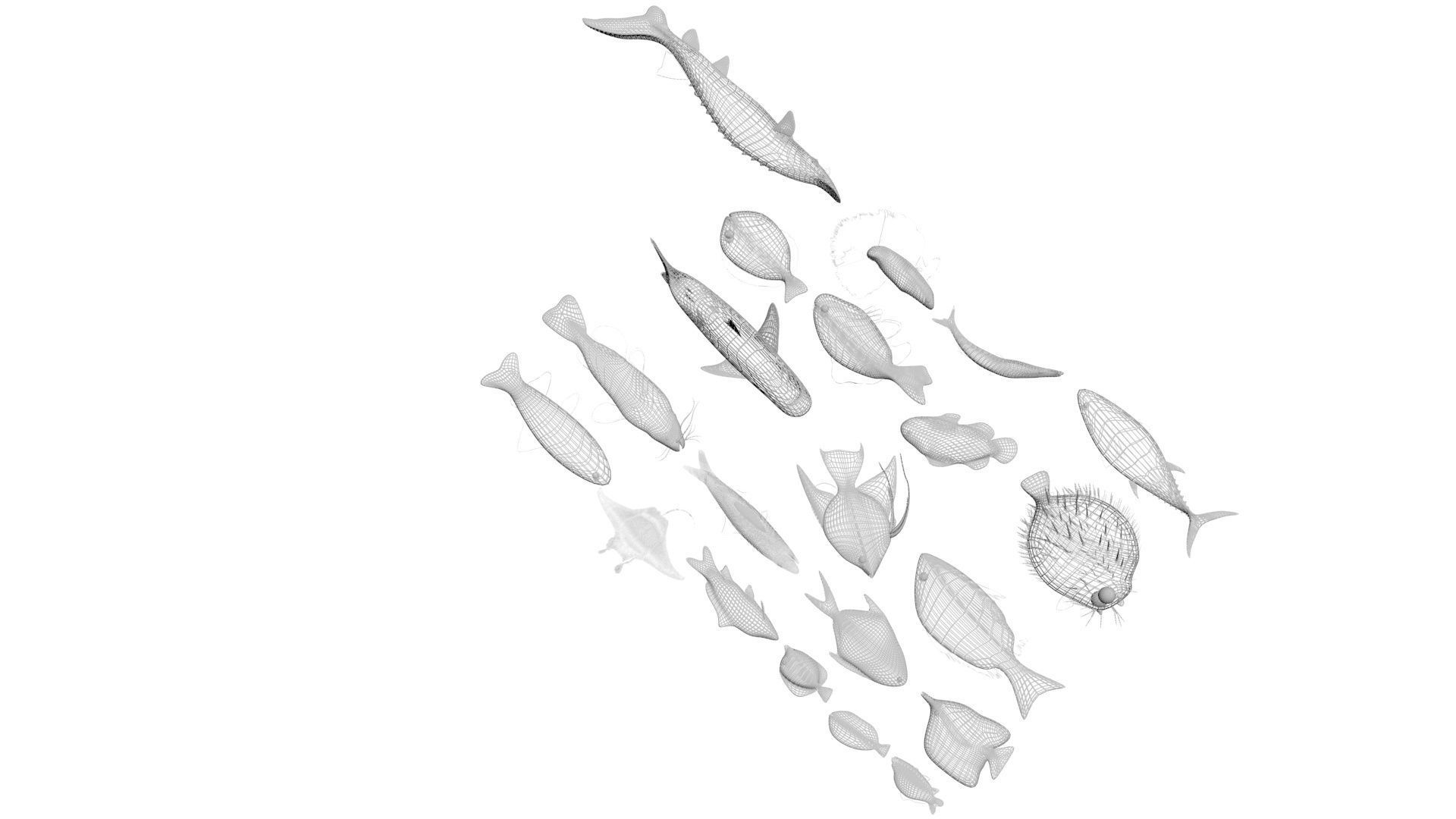 Fishes Set 3D model_41