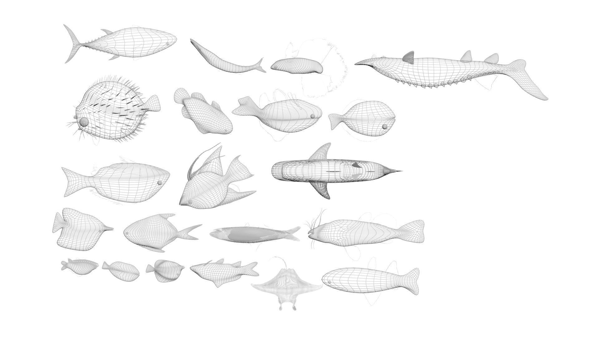 Fishes Set 3D model_46