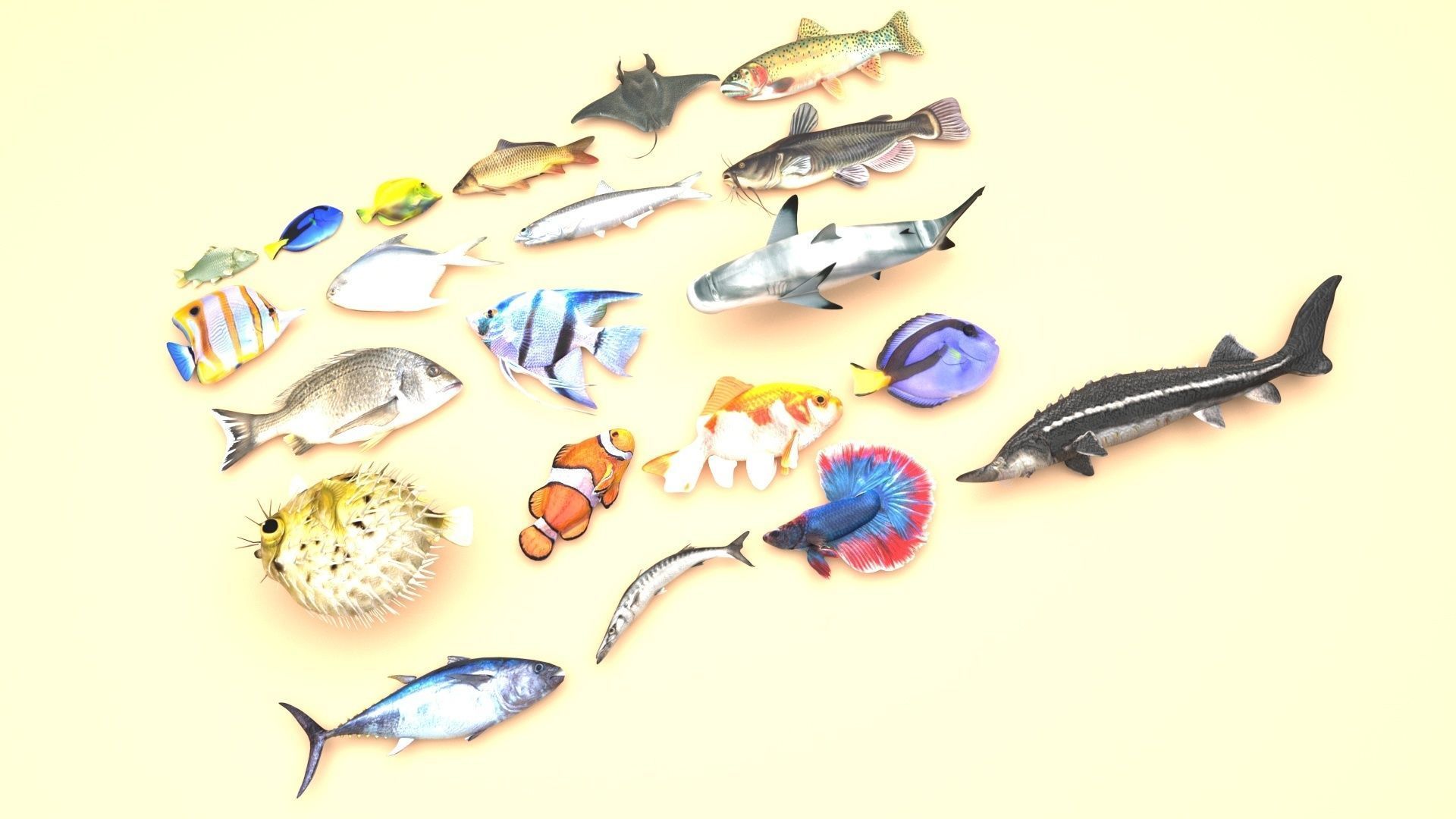 Fishes Set 3D model_25