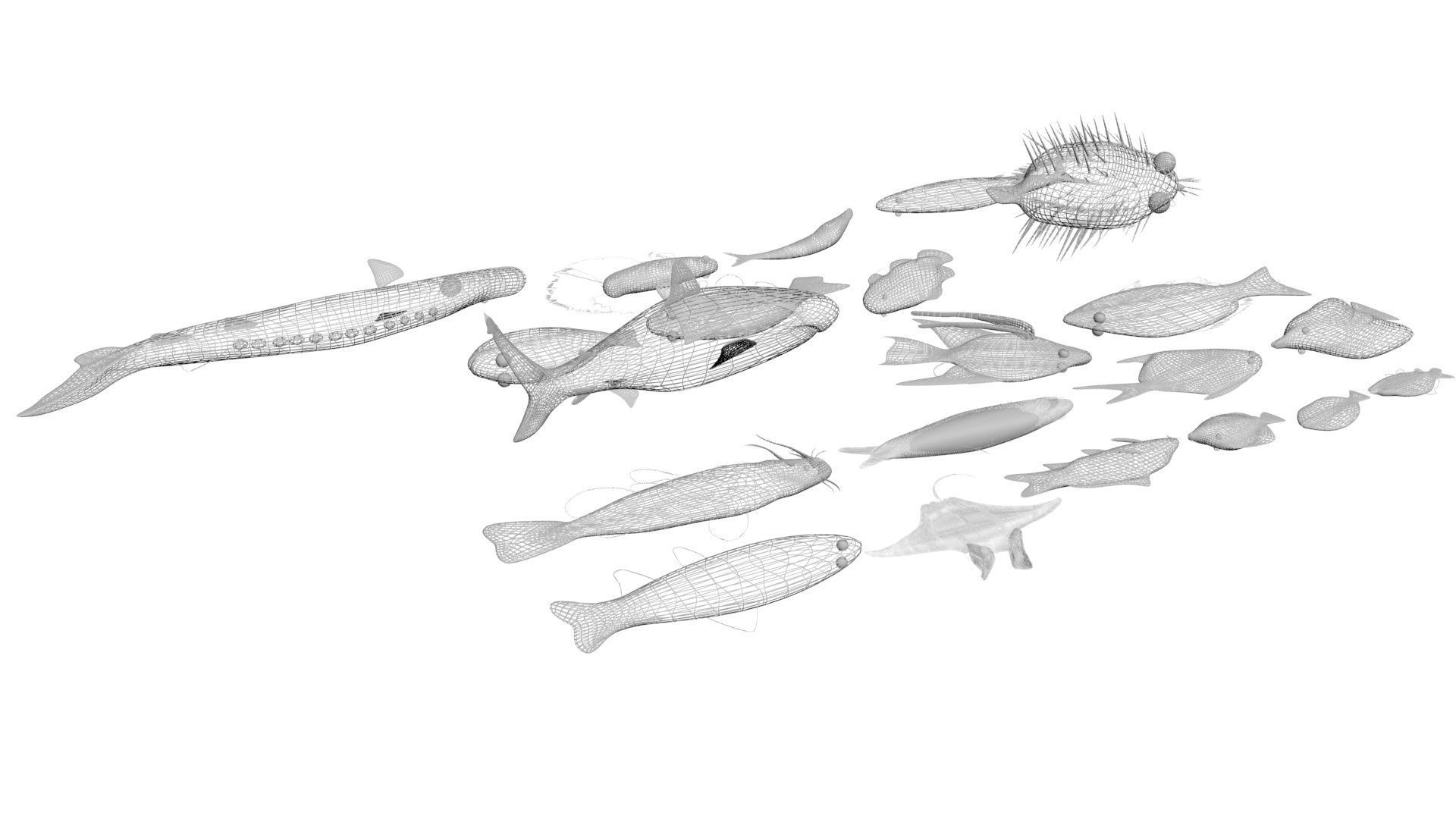 Fishes Set 3D model_40