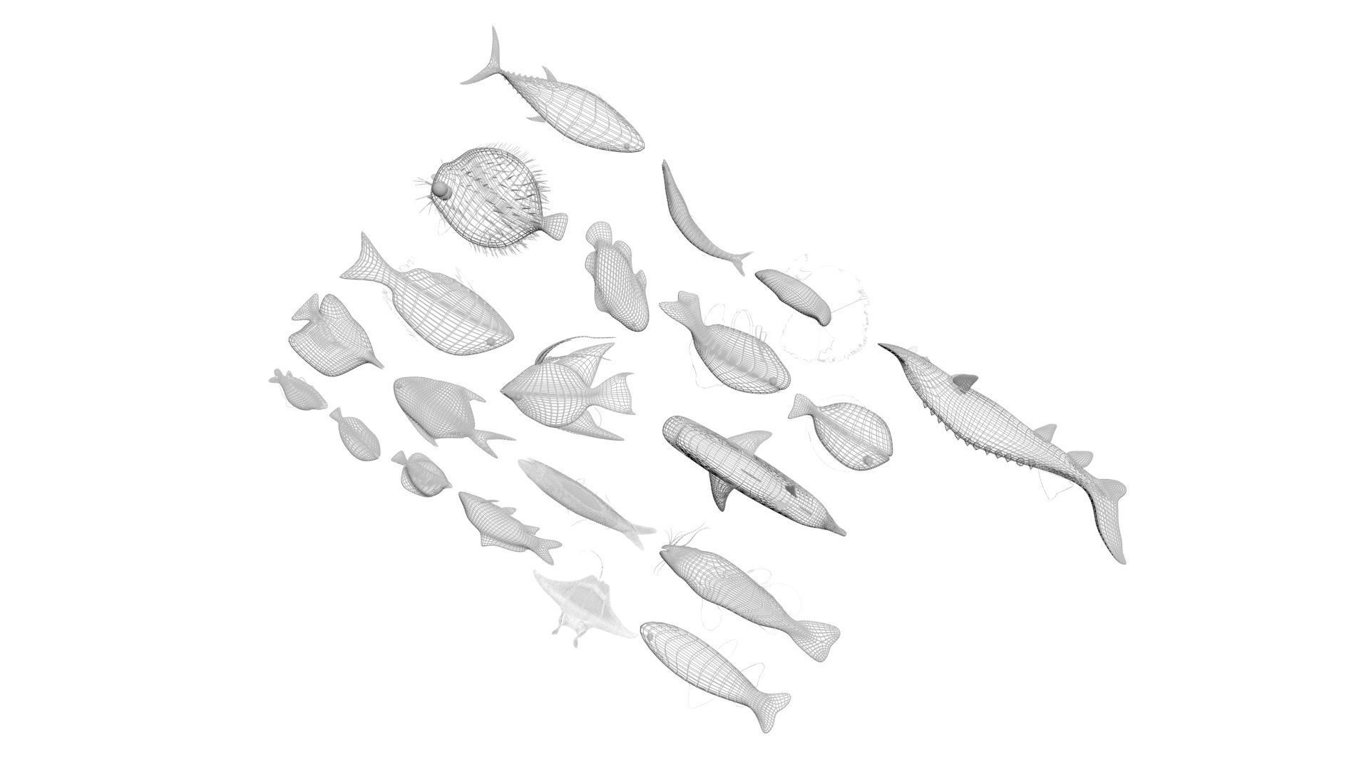 Fishes Set 3D model_42