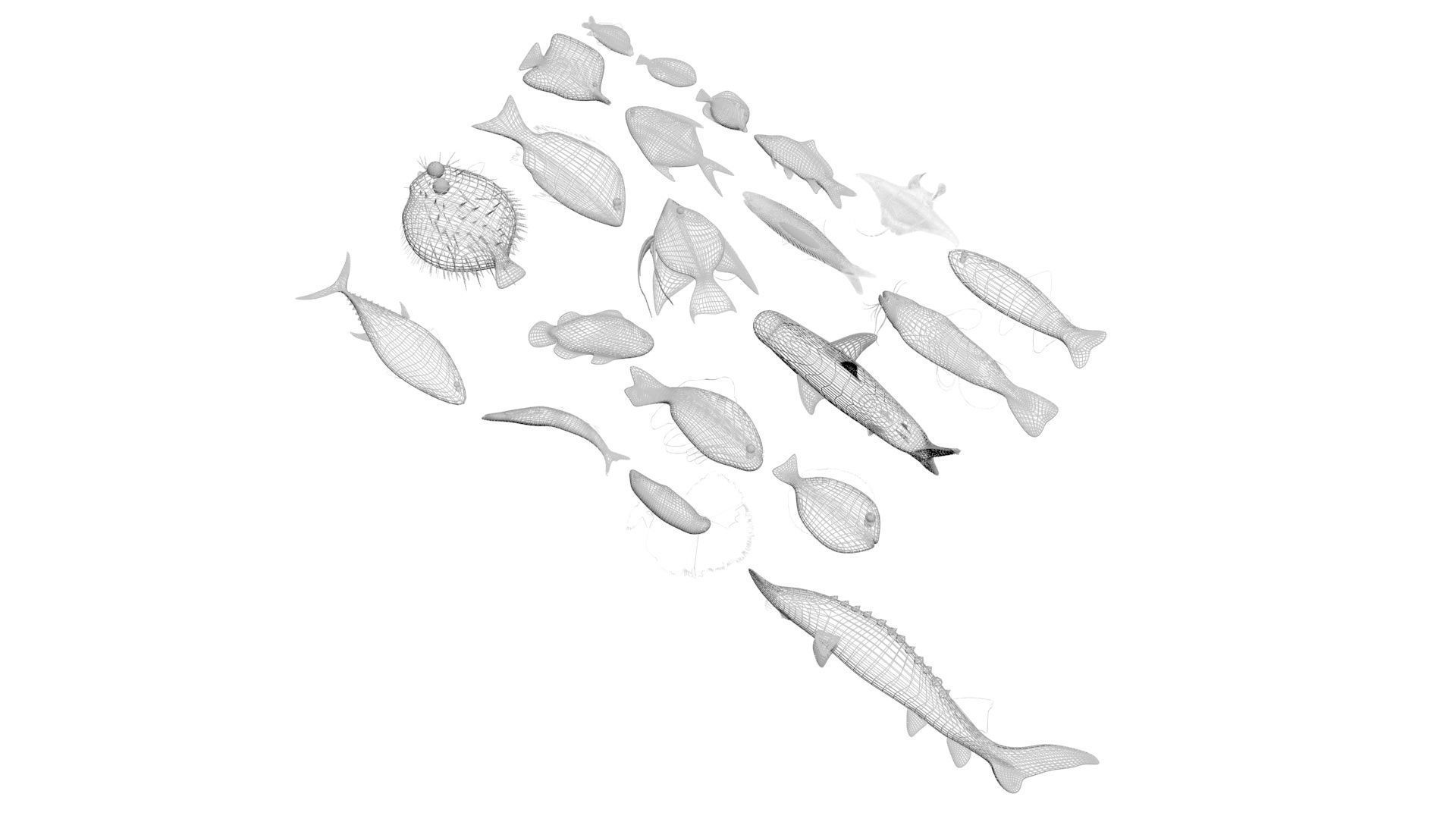 Fishes Set 3D model_39