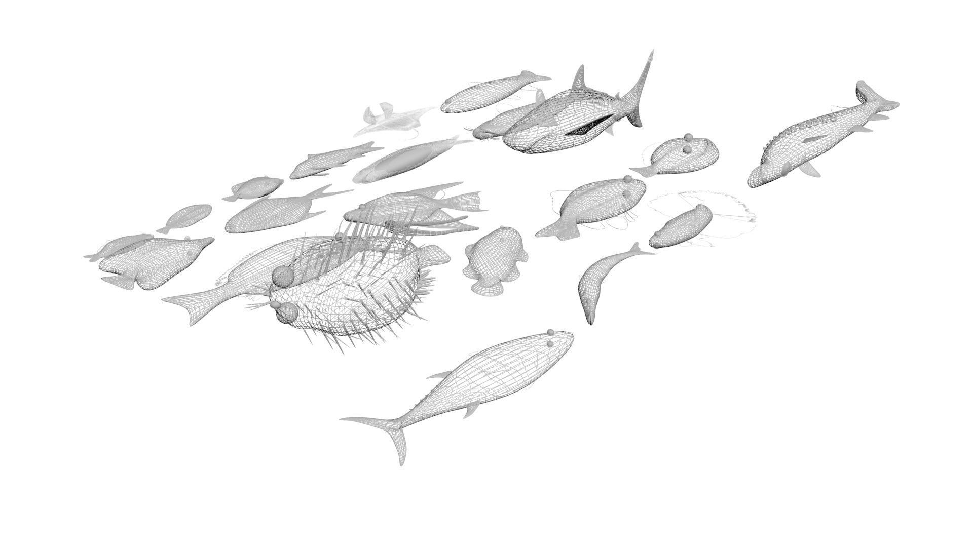 Fishes Set 3D model_38