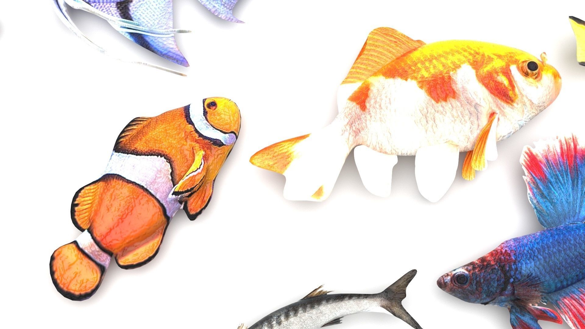 Fishes Set 3D model_18