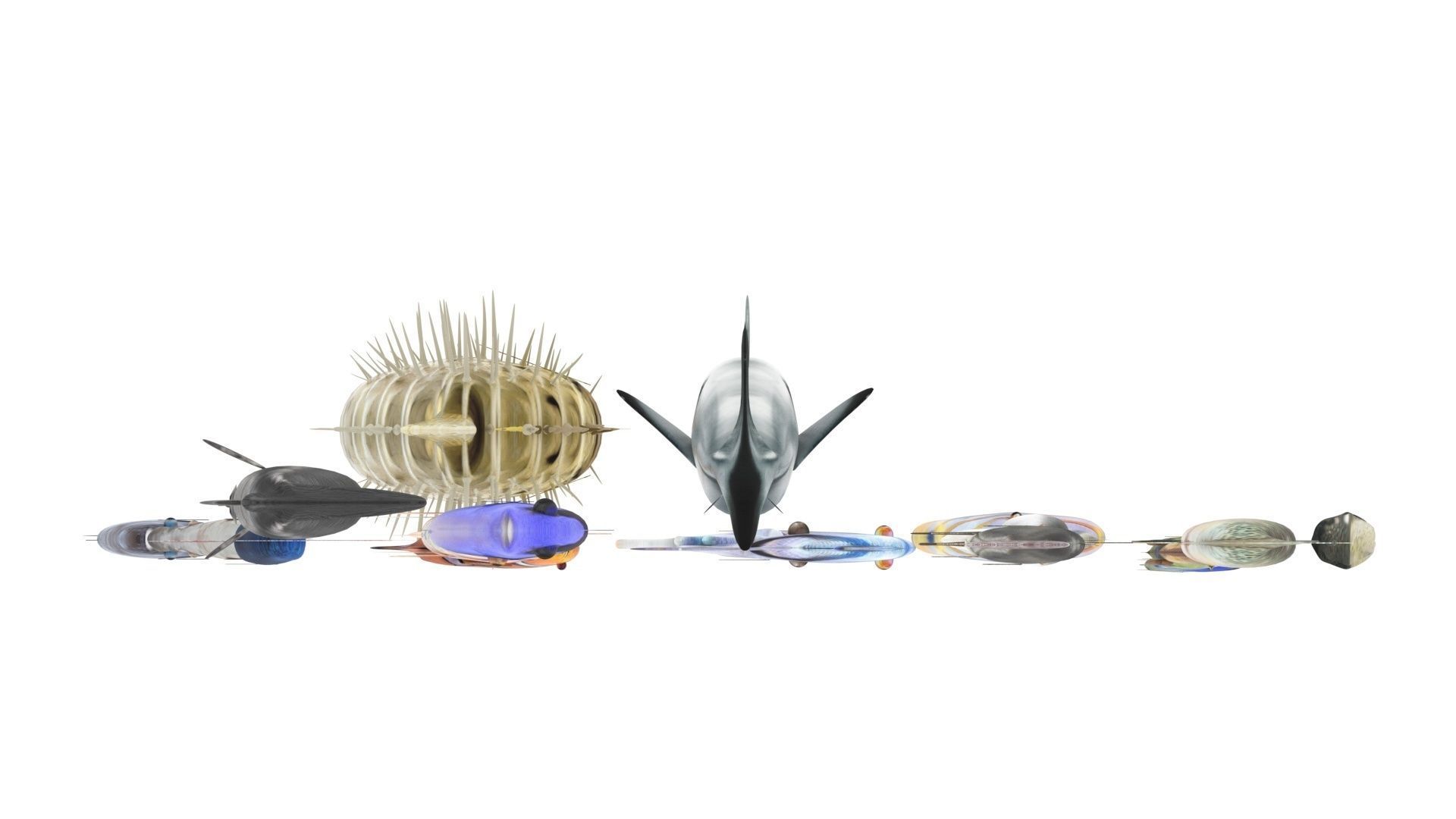 Fishes Set 3D model_37