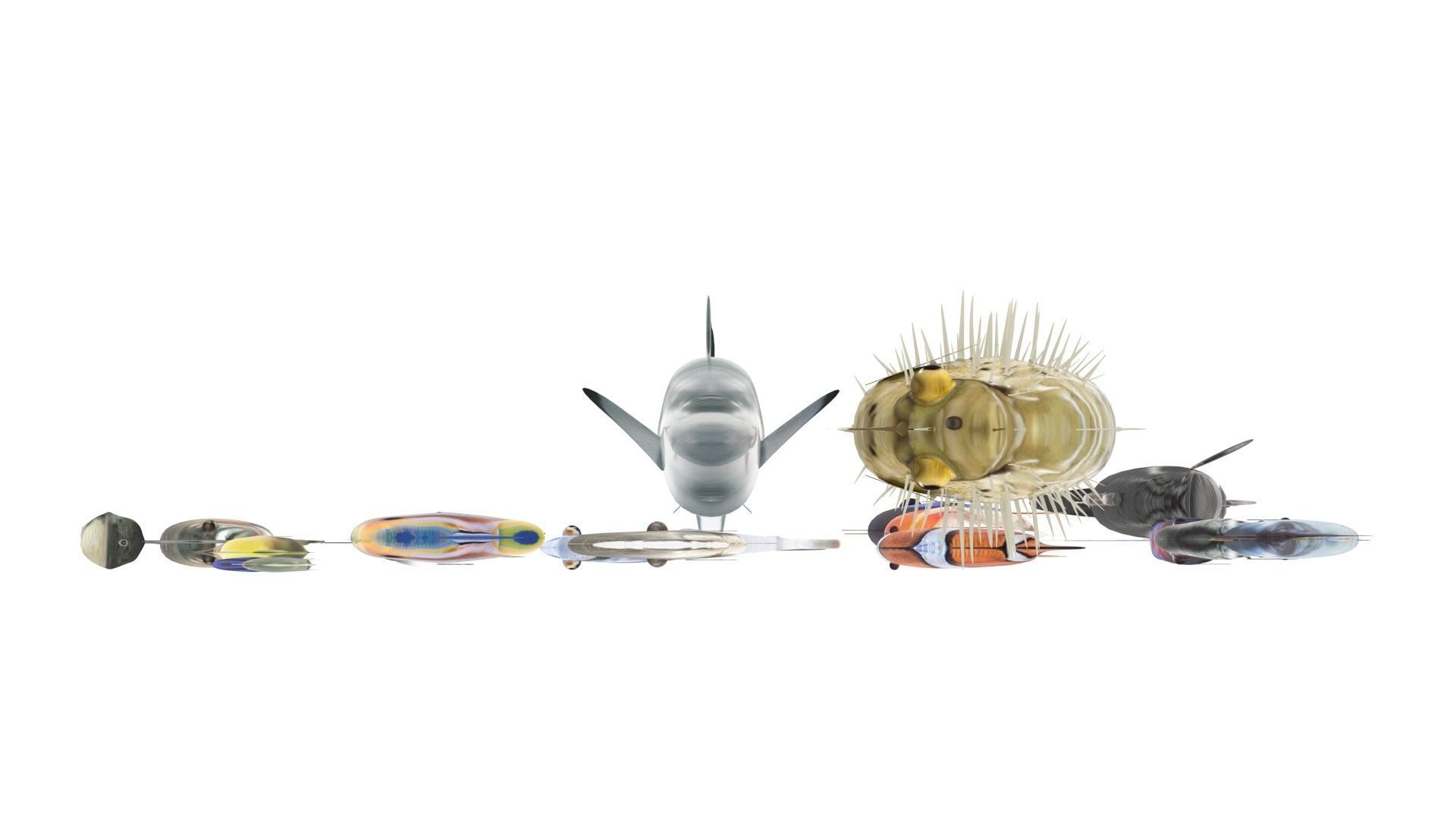 Fishes Set 3D model_34