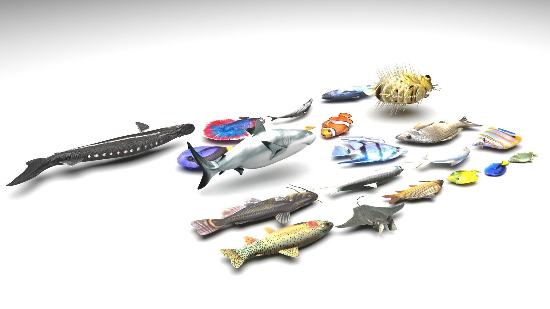 Fishes Set 3D model_2