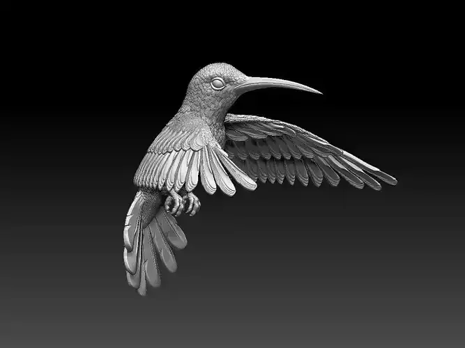 colibri humming bird  3D print model