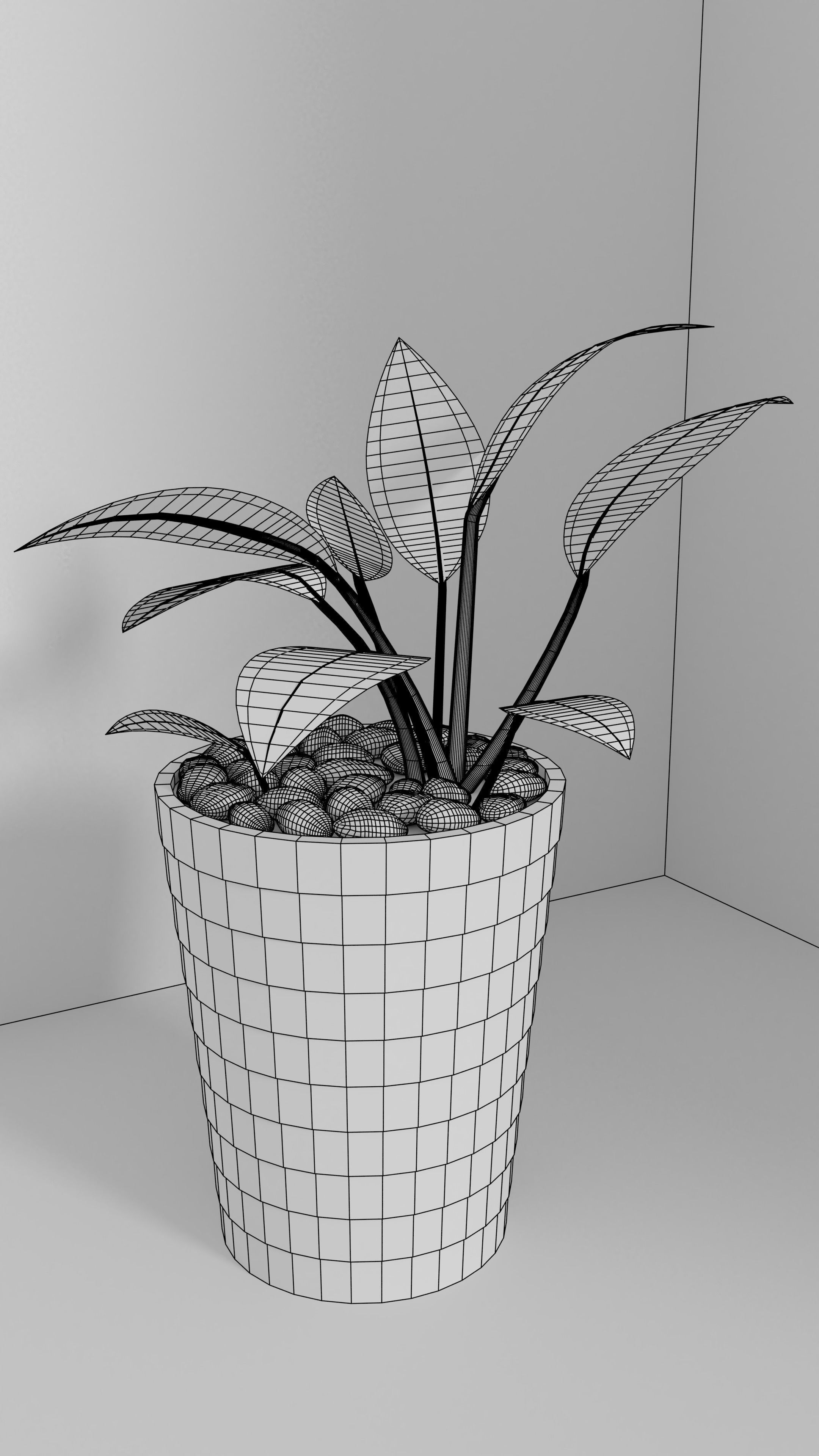 3D Models of plants 3D model_2