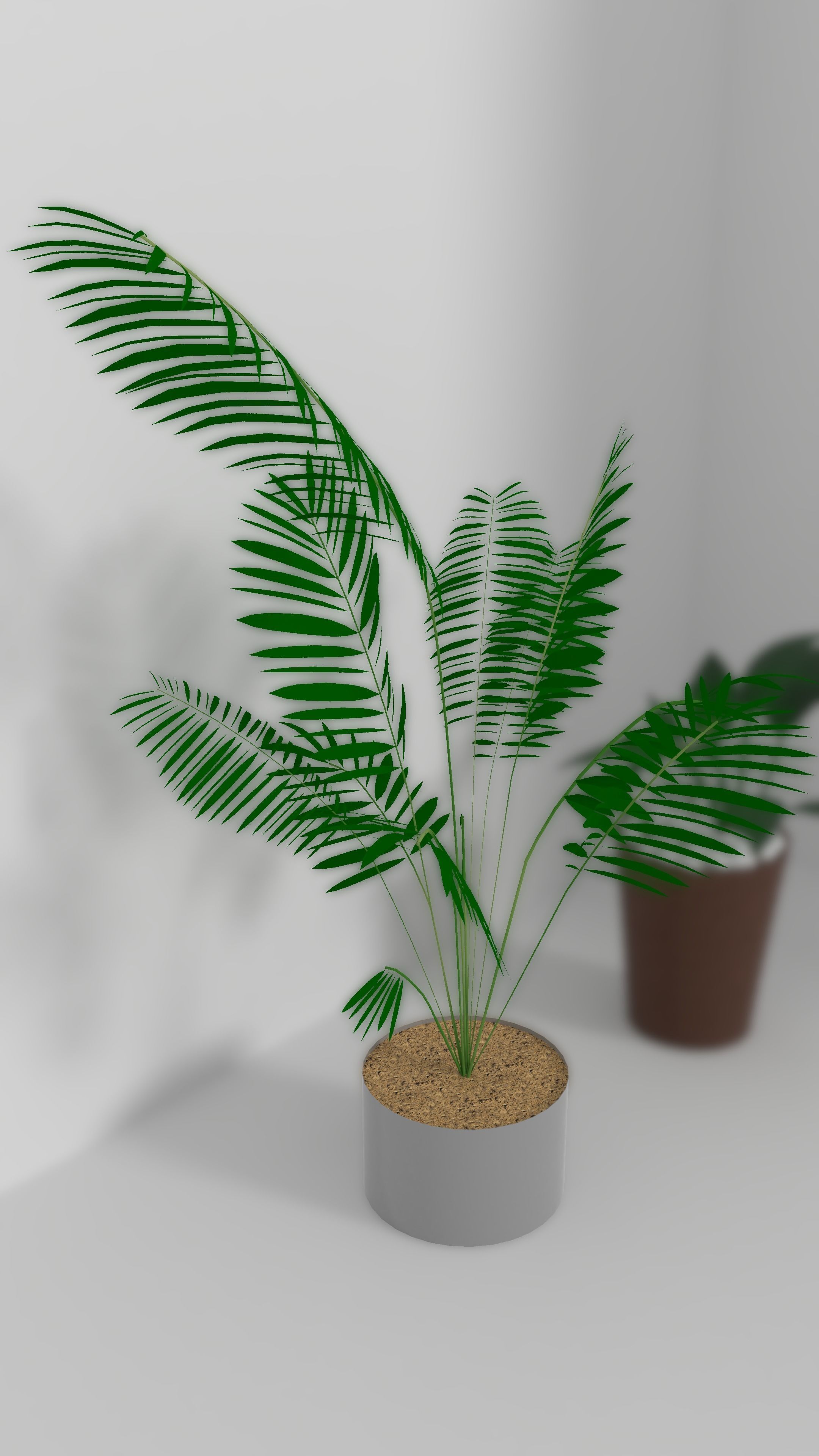 3D Models of plants 3D model_3