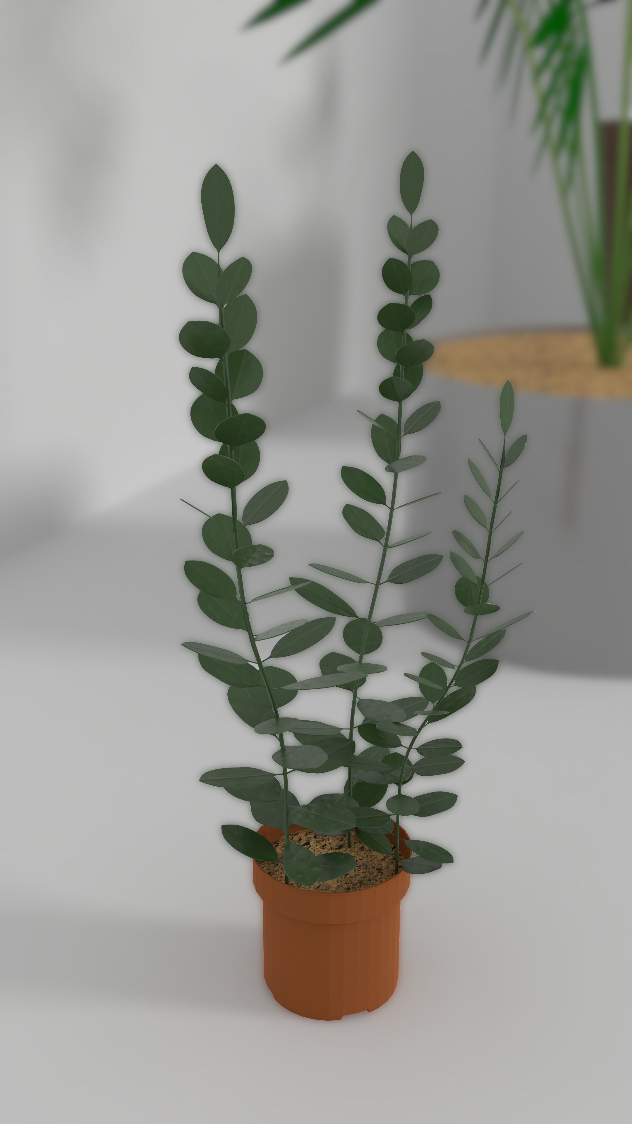 3D Models of plants 3D model_5