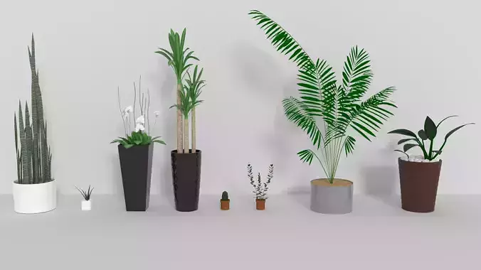 3D Models of plants 3D model 3D Models of plants 3D model