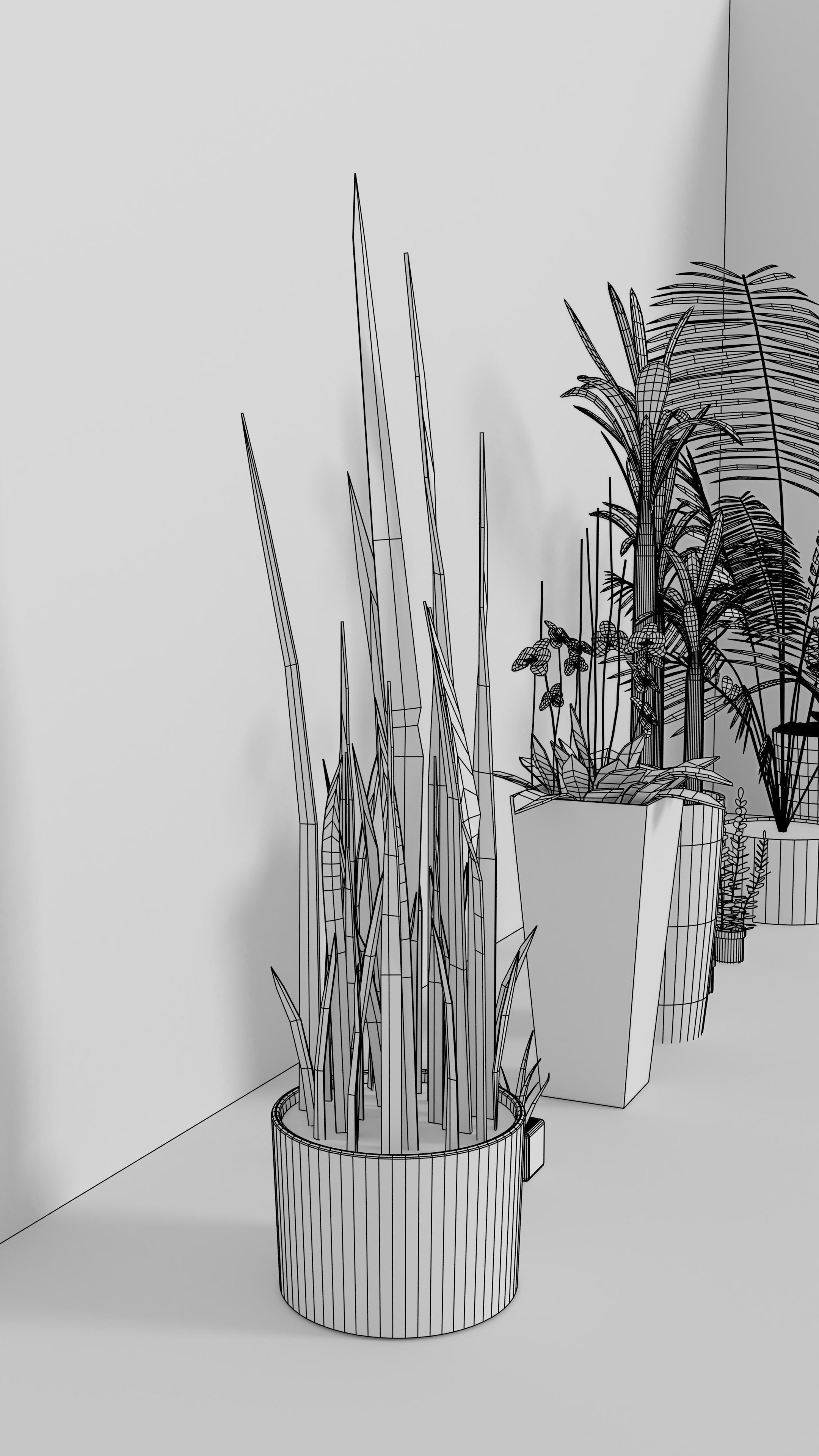 3D Models of plants 3D model_16