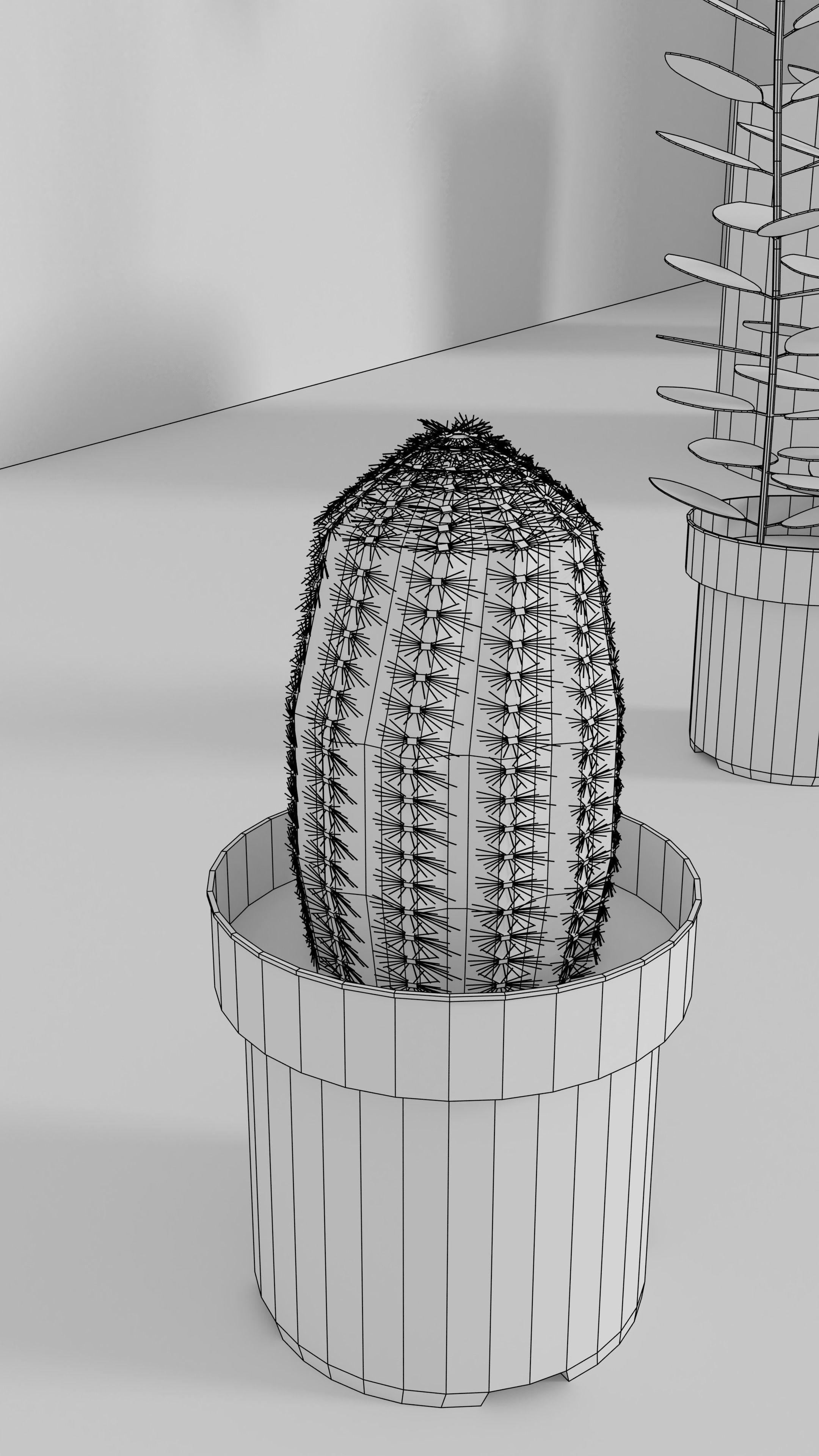 3D Models of plants 3D model_8