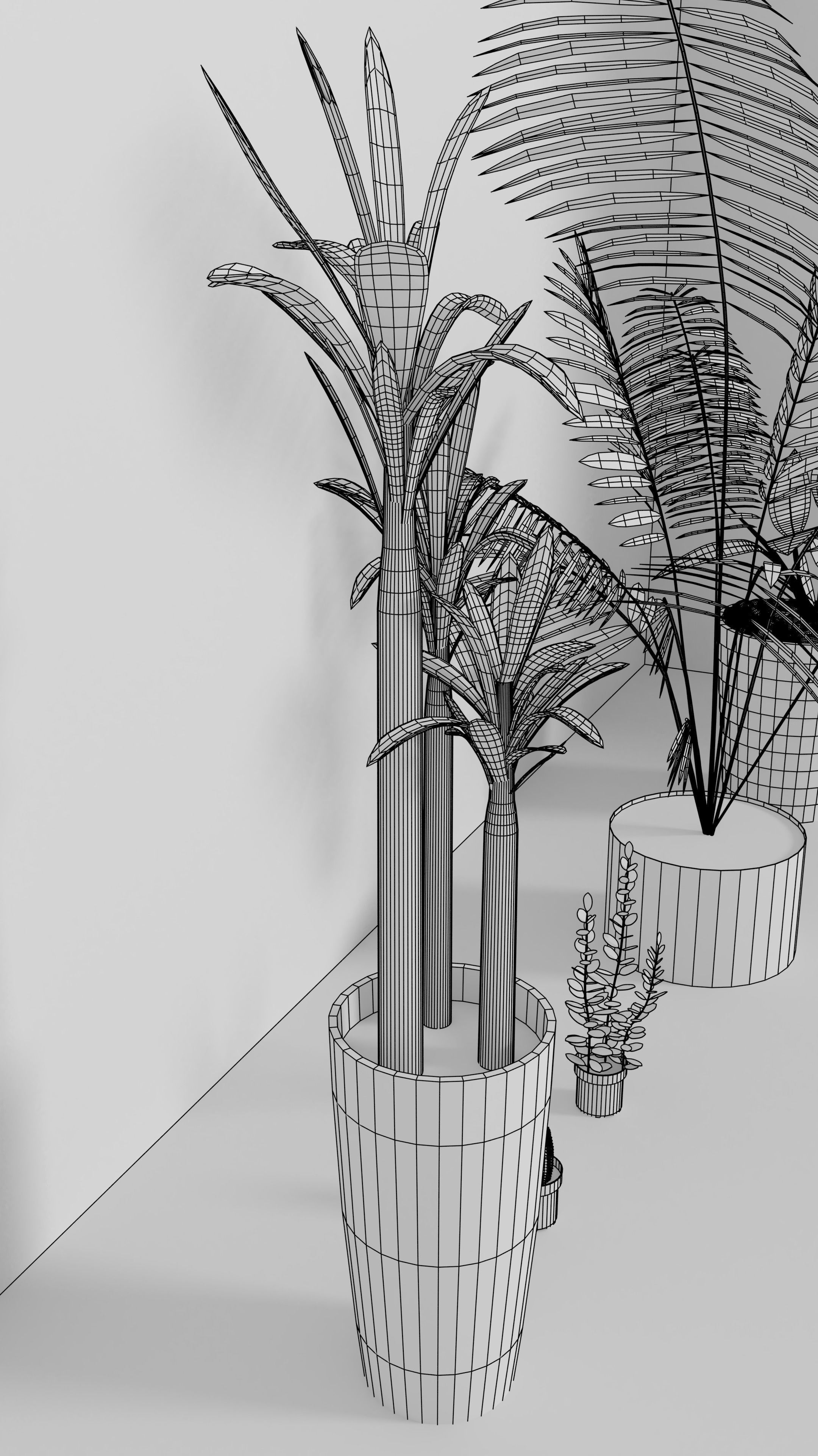 3D Models of plants 3D model_10