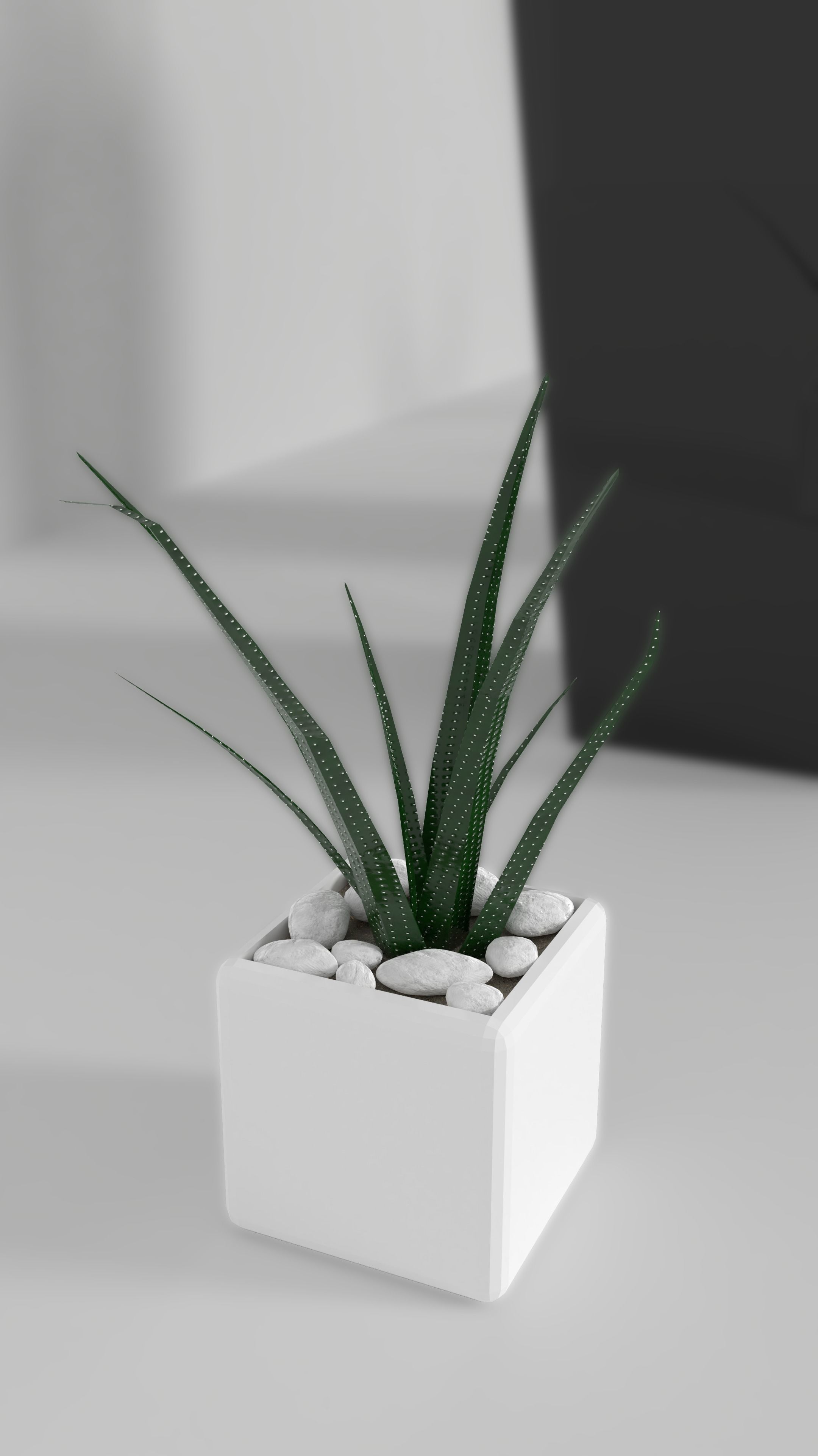 3D Models of plants 3D model_13