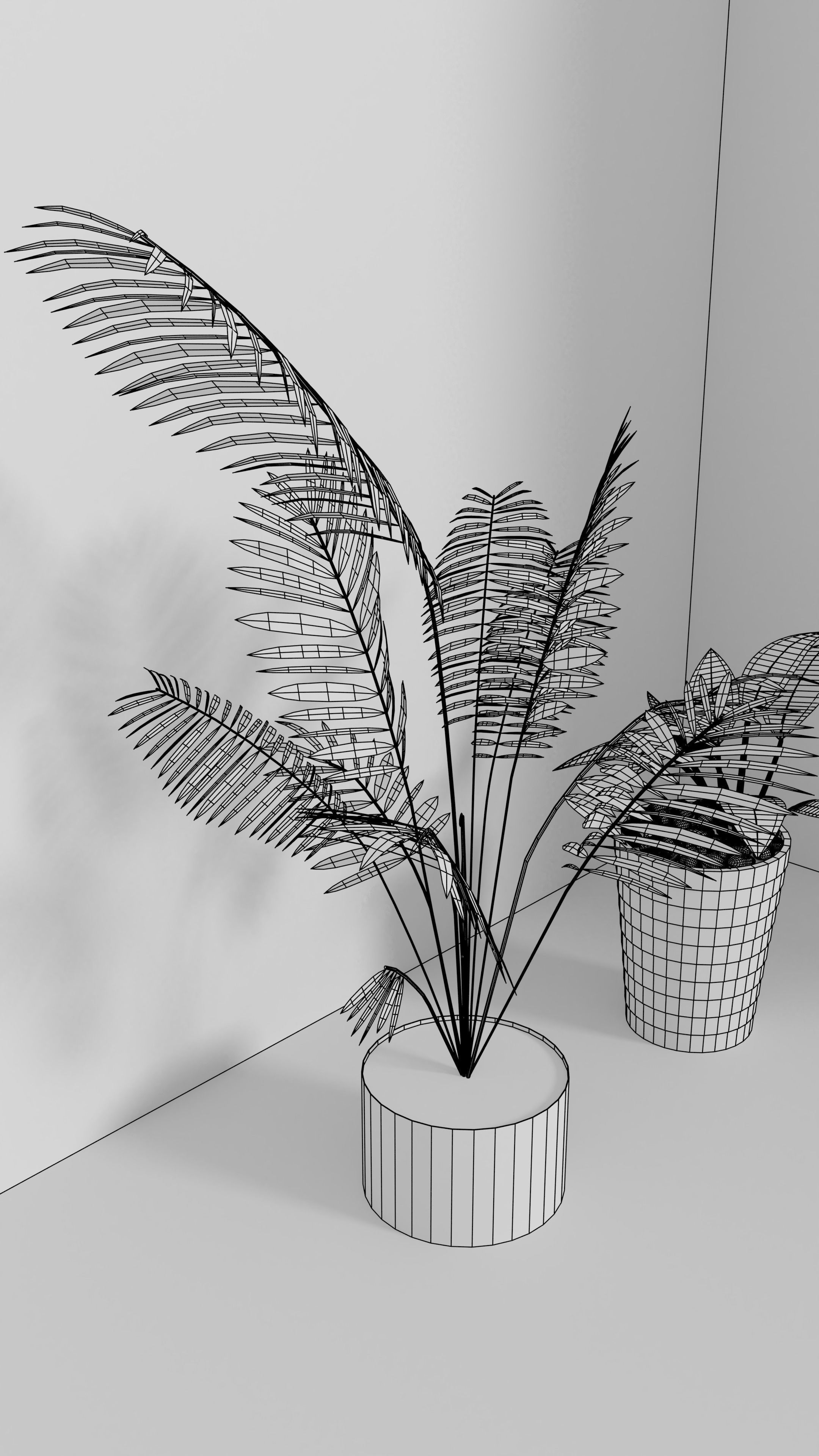 3D Models of plants 3D model_4